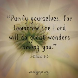 Purify Yourselves Joshua 3 5